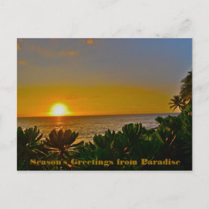 Season's Greetings from Paradise on Earth Holiday Postcard