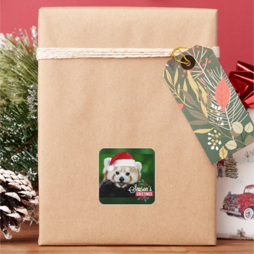 Seasons Greetings from Red Panda Square Sticker