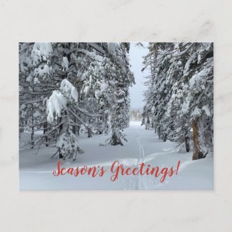 Season's Greetings from Tahoe! Postcard
