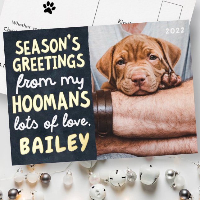 Season's Greetings Funny Modern Pet Custom Photo Foil Holiday Postcard (Creator Uploaded)