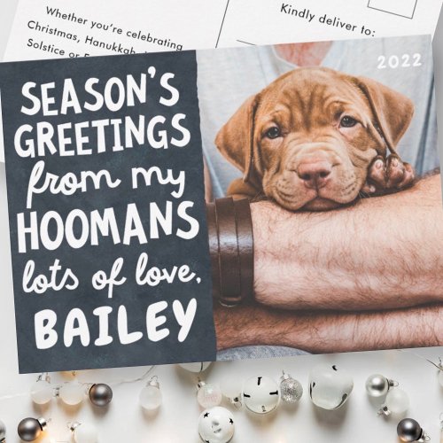 Seasons Greetings Funny Modern Pet Custom Photo Holiday Postcard