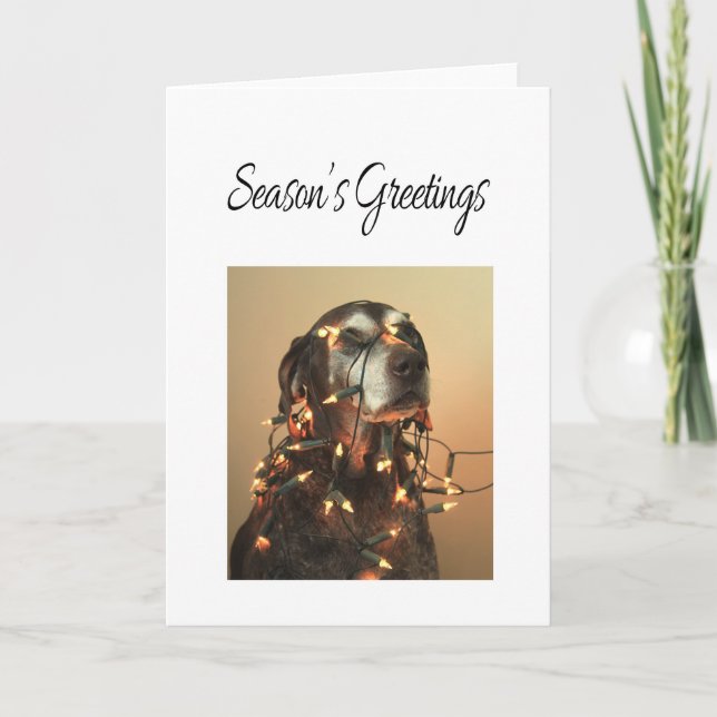 Season's Greetings german shorthaired pointer Holiday Card (Front)