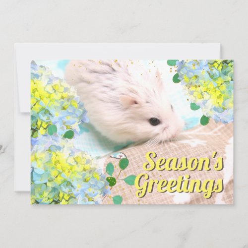 Seasons Greetings Hamster with Blue Hydrangeas Holiday Card