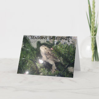 SEASONS GREETINGS HOLIDAY CARD
