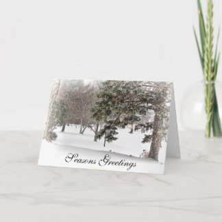 Seasons Greetings Holiday Card