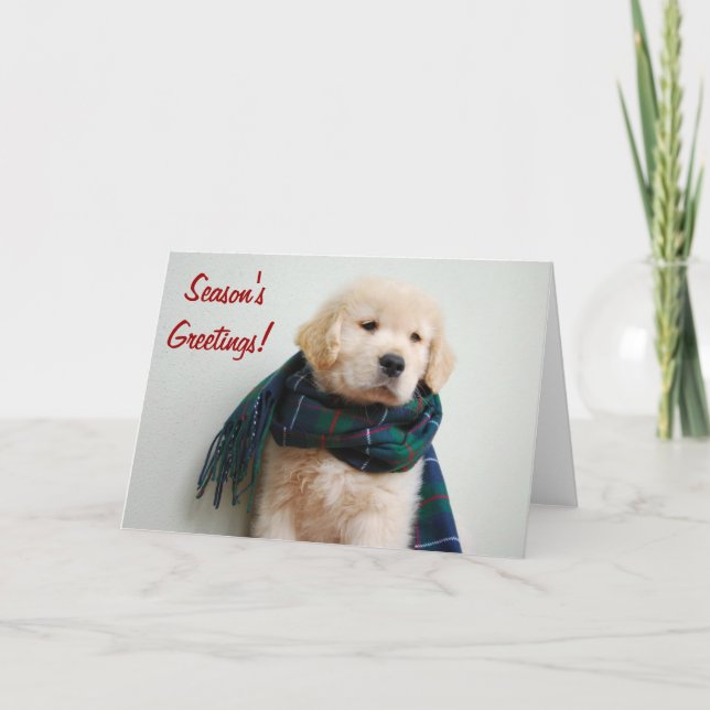 Season's Greetings Holiday Card (Front)