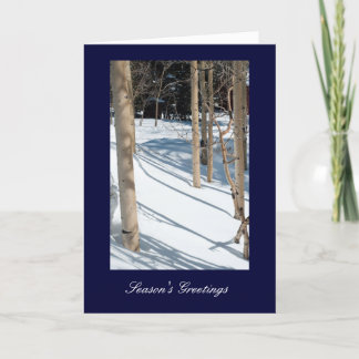 Season's Greetings Holiday Card