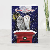 Season's Greetings Holiday Card With Winter Owl's