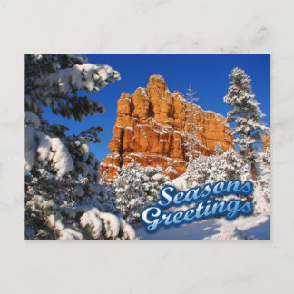 Seasons Greetings Holiday Postcard