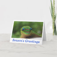 Season's Greetings Holiday Wildlife Cards