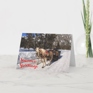 Season's Greetings Horses Sled Snowy Photo Card