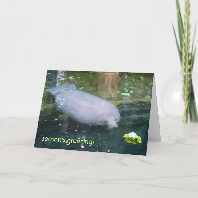 season's greetings - lettuce holiday card (Front)