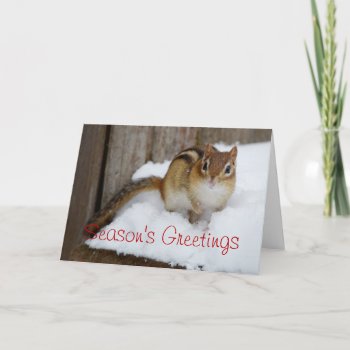 Season's Greetings Little Chipmunk In The Snow Holiday Card by Meg_Stewart at Zazzle