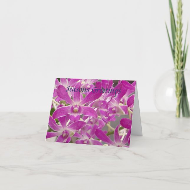 Seasons Greetings Orchids Holiday Card (Front)