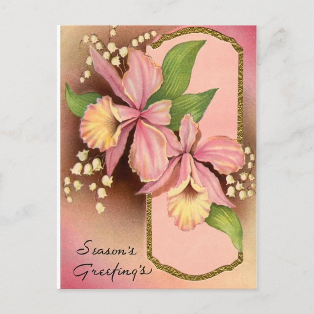 Seasons Greetings Orchids Holiday Postcard (Front)