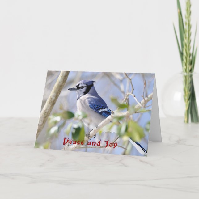 Seasons Greetings, Peace and Joy Holiday Card (Front)