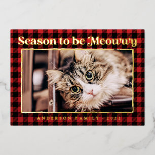 Season's Greetings Plaid Funny Pet Cat Photo Foil Holiday Card