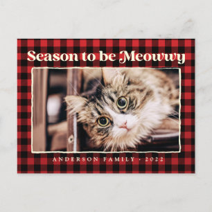 Season's Greetings Plaid Funny Pet Cat Photo Holiday Postcard