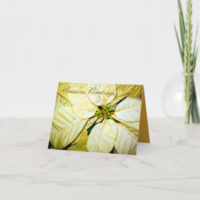 Seasons Greetings Pointsettia_ Card (Front)