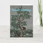 Season&#39;s Greetings - Porcupine In A Pine Tree Holiday Card