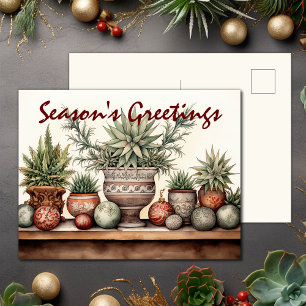 Season's Greetings Potted Succulents Christmas Holiday Postcard