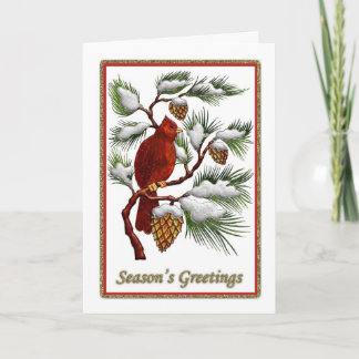Season's Greetings - Red Cardinal with Pine Cones Holiday Card