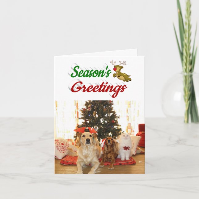Seasons Greetings Reindeer Christmas Photo script Holiday Card (Front)