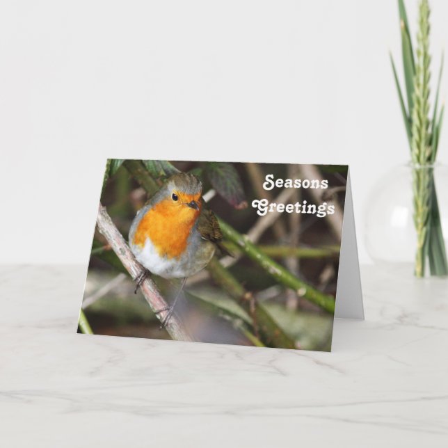 Seasons Greetings Robin Bird In Tree Holiday Card (Front)