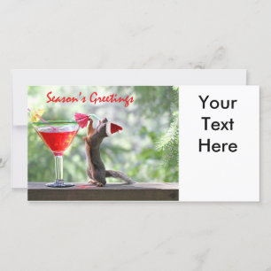 Season's Greetings Squirrel Holiday Card