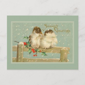 Season's Greetings Two Birds On A Fence Holiday Postcard by lazyrivergreetings at Zazzle
