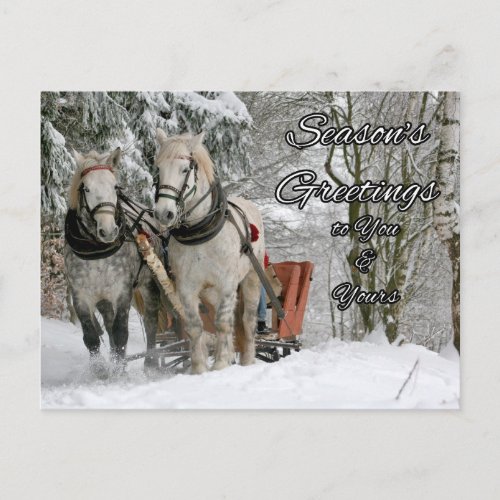 Seasons Greetings Winter Horses Postcard
