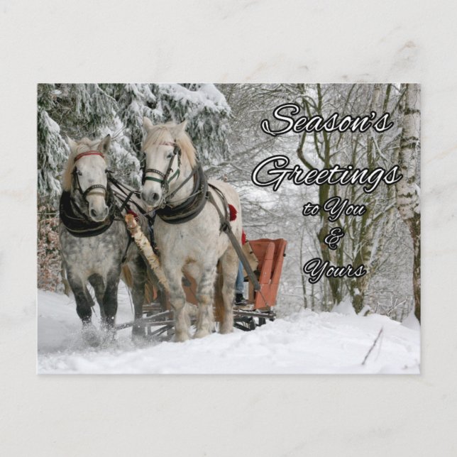 Season's Greetings Winter Horses Postcard (Front)