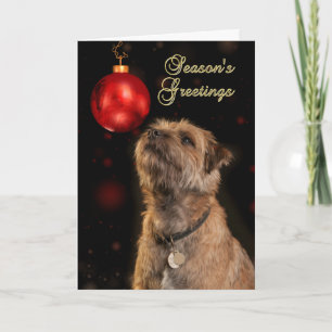 Season's Greetings With Border Terrier Dog Holiday Card