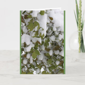 Seasons Meeting - Holly in Winter, Spring Thaw Holiday Card