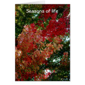 Seasons of life (Front)