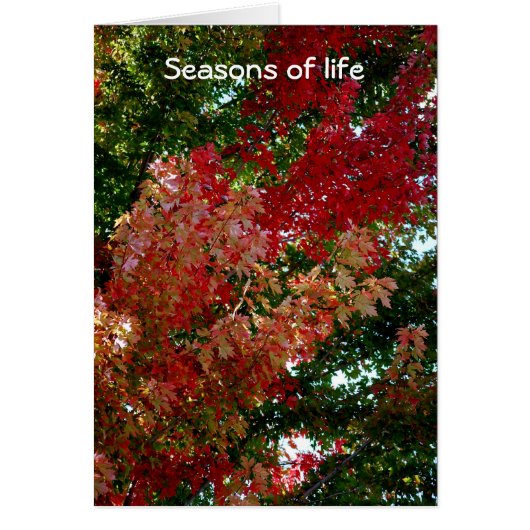 Seasons of life cards (Front)