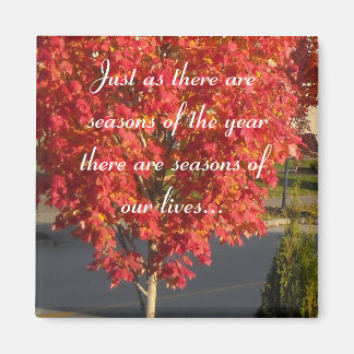 Seasons of Our Lives... Magnet