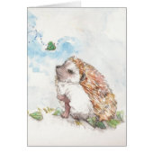 Season's Wonders (Front)