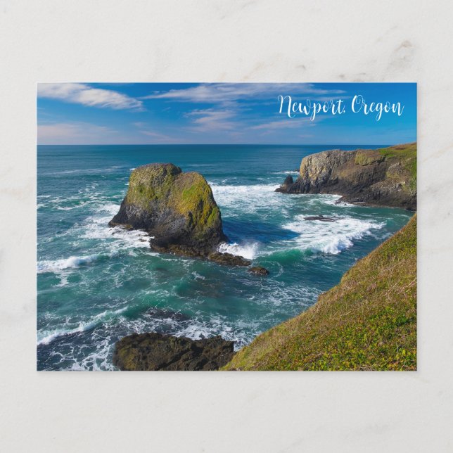 Seastacks at the Yaquina Headlands Newport Oregon Postcard (Front)