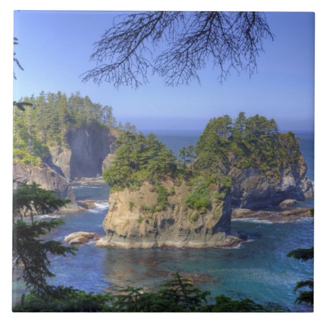 Seastacks, Makah Nation Tribal Lands, Cape Ceramic Tile (Front)