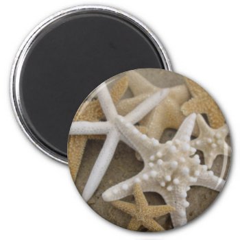 Seastars (starfish) Magnet by archemedes at Zazzle