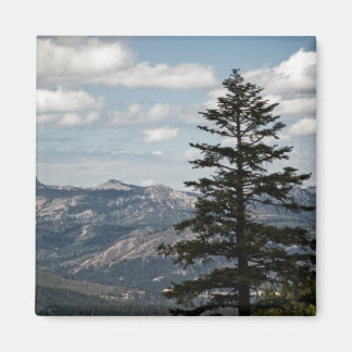 Seat with a View Magnet