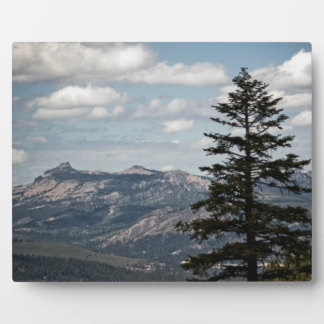 Seat with a View Plaque