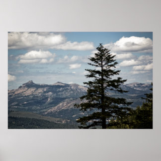 Seat with a View Print