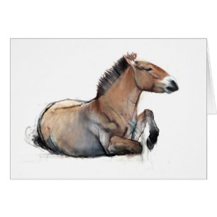 Seated Przewalski 2011 Cards