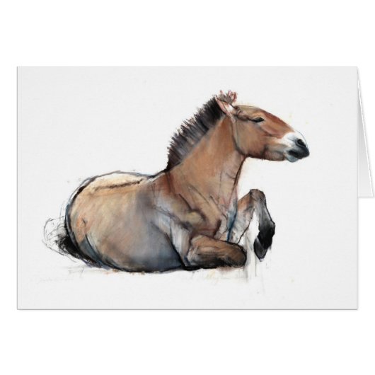 Seated Przewalski 2011 Cards (Front Horizontal)