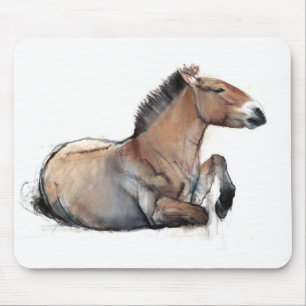 Seated Przewalski 2011 Mouse Pad