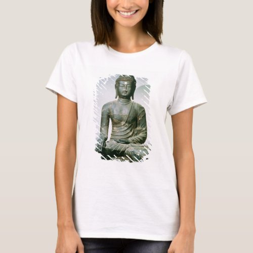 Seated Sakyamuni Buddha from Chungung_ni iron T_Shirt