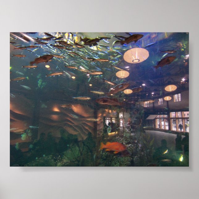 Seattle Aquarium Poster (Front)