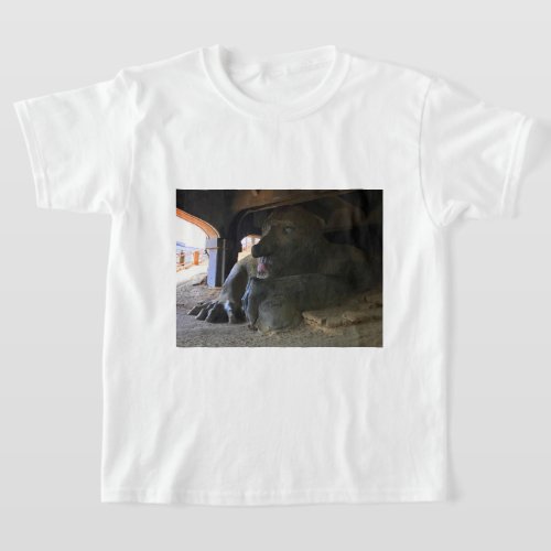 Seattle Fremont Troll 2 T_shirt